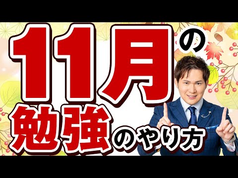 合格する受験生は１１月にコレをやっている【合格年間スケジュール】