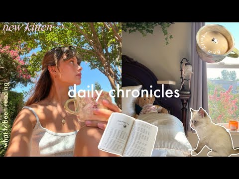 Daily chronicles| meet my kitten & lazy day at home