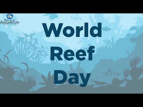 World Reef Day