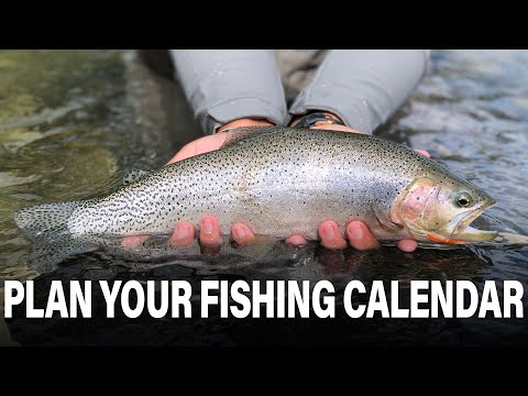 Silvercore Podcast Ep. 40: How to Fish Every Day of the Year