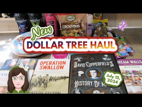 New Dollar Tree Haul! More Great Finds!  July 15, 2024