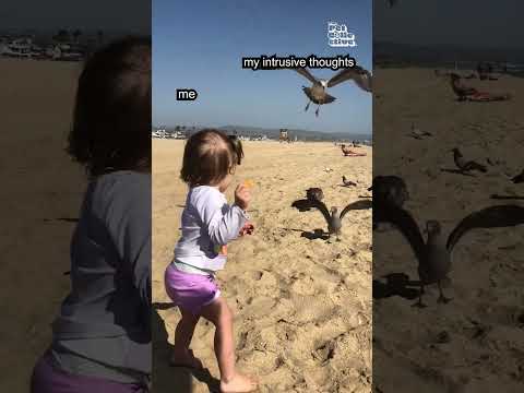 Little Girl Feeds Birds at Beach