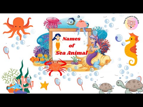 Names of Sea Animal | Sea Animals | Underwater World | Marine Animals | Ocean Friends |