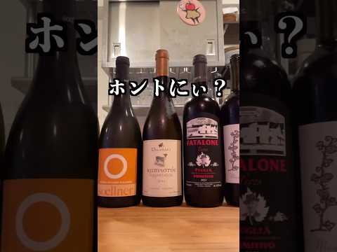 満月の夜はワイン飲もうぜ #Shorts #酒好き女子 #ワイン #ソムリエ #wine #naturalwine #ナチュラルワイン