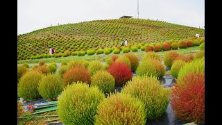 滋賀 琵琶湖 湖西の観光地巡り