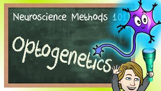 Optogenetics Explained! | Neuroscience Methods 101