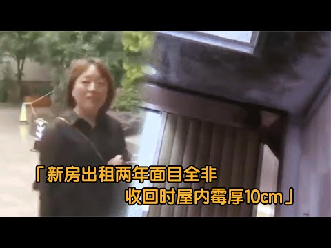 纪实：新房出租两年面目全非,屋内长满霉斑，房主：最厚的有10cm