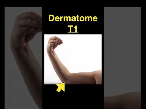 Testing Dermatomes, Myotomes and DTRs #shorts  (Part A)