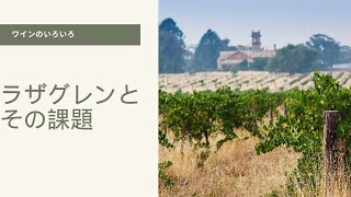 ラザグレンとその課題 #ワイン豆知識 #ワイン #ワインのある暮らし #雑学 #winelover