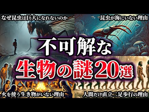 【総集編】意外と知らない不可解な生物の謎20選【ゆっくり解説】