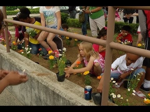 AFN Daegu - AFN Korea Update - Children decorate their community