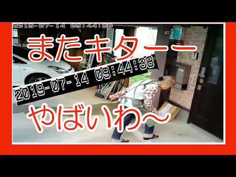 【防犯‐監視カメラ映像】またか！不審者ババー　懲りずに来やがった！　スマカメで撮影