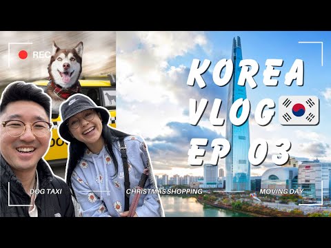 SEOUL TRAVEL VLOG | Korea's Kakao PET TAXI is a lifesaver!