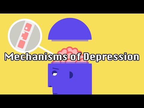 The Underlying Mechanisms of Depression