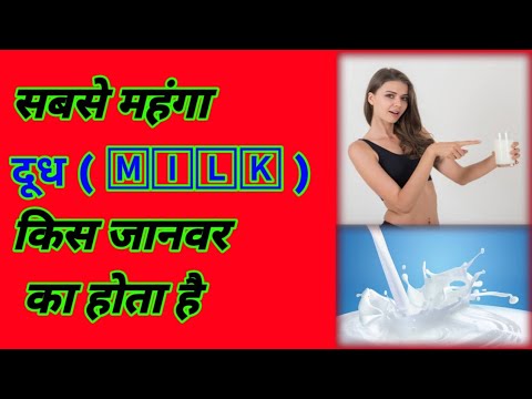 World's Most Expensive Milk| दुनियां में सबसे महंगा दूध #shorts #hindi