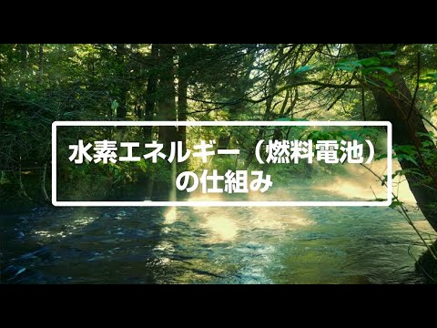 水素エネルギーについて～H2Osakaビジョンの実現に向けて～（その２）水素エネルギーの仕組み