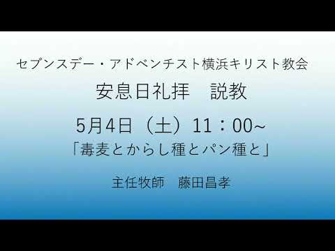 毒麦とからし種とパン種と 2024年5月4日 #マタイによる福音書13章