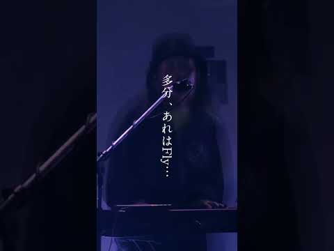 多分、あれはFly (Live st Shibuya WWW X 2022.11.3)