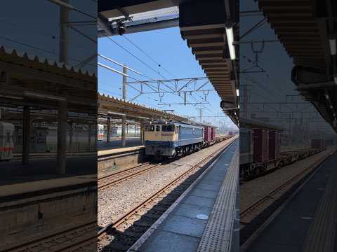 EF65 大垣駅通過