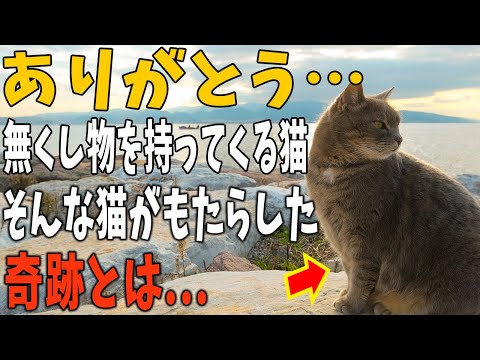 【猫の不思議な話】私を救ってくれた猫の話。「ちょっ、あんた、これどこにあったの？！」ある日、無くして困ってたものを持ってきた猫。その日からその猫は・・・。「ありがとう」【朗読】