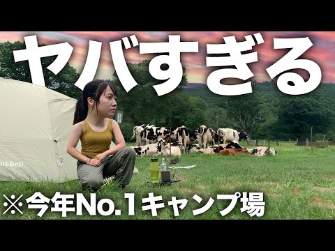 動画見なくていいから、このキャンプ場行け。