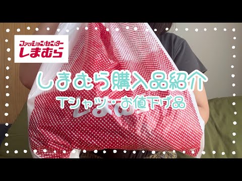 しまむら購入品紹介＊Tシャツ＊お値下げ品teraさんyumiさんコラボワンピース