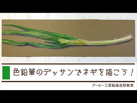 色鉛筆のデッサンでネギを描こう！ブーピー工房絵画造形教室