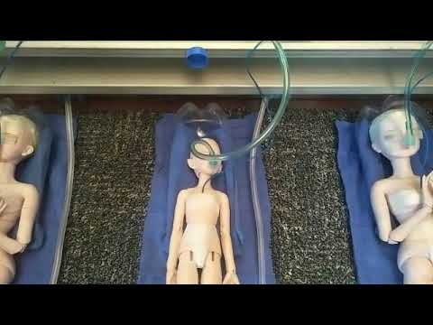 BJD.  Stop motion.  Escape from the Robots.