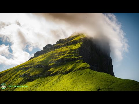 CHILL Relaxing Morning Music 🥰 Fresh Positive Energy Wake Up Mediation Music 528hz