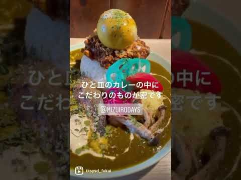 【福井グルメ】水色食堂さん（福井市）であいがけカレー食べてきました【食レポ動画】#shorts