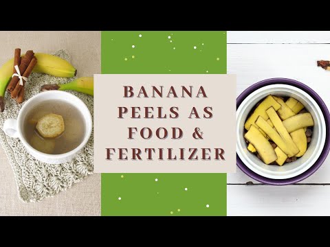 How to use banana peels for fertilizer and as food