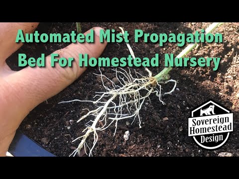 Automated Misting Bed for Propagating Plant Cuttings