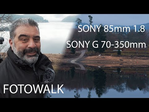 Fotografieren mit der Sony A6500 & Sony G70-350, Sony 85mm 1.8