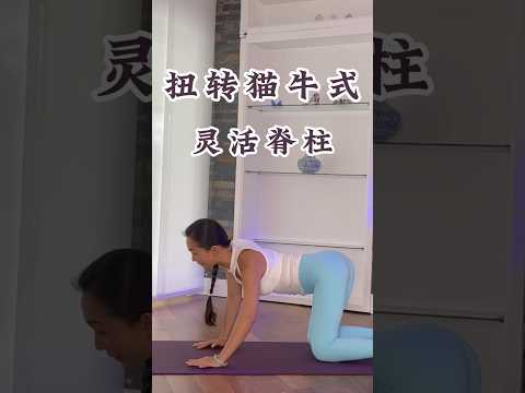 瑜伽扭转猫牛式，灵活脊柱 #yoga #瑜伽#养生 #健康 #yogapractice #yogaforbeginners #yogapractice