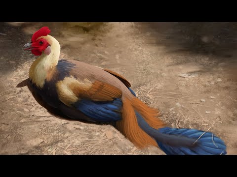 Should we create a Dino-Chicken? – the Ethics of Making a Living-Biological Attraction