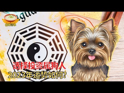 What is the fortune of dog people in 2023, and what is the biggest decision to invest in zodiac dogs