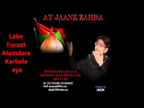 5. Labe Furaat Alamdare Karbala Aaya (2011/12) (AUDIO) - Mohammadali Moshi Baltistani