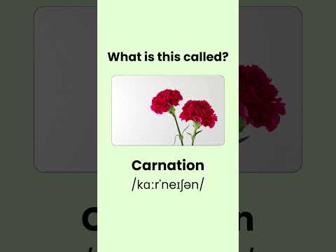 Can you name 10 Most Common flowers? #shorts #short #quiz #english #englishgrammar #englishbeginners