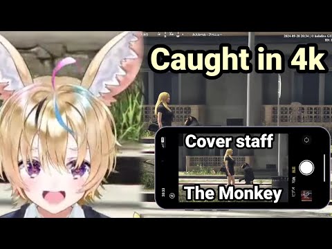 Polka caught the Cover staff fighting a Monkey in 4k