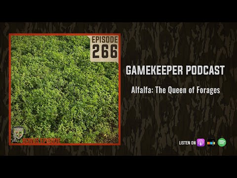 EP:266 | Bonus: Alfalfa: The Queen of Forages