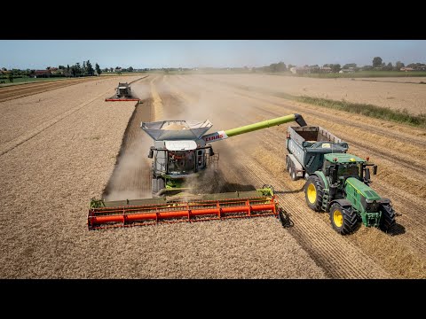 From threshing to sowing in 48h 🤯 Monastier Social Stable