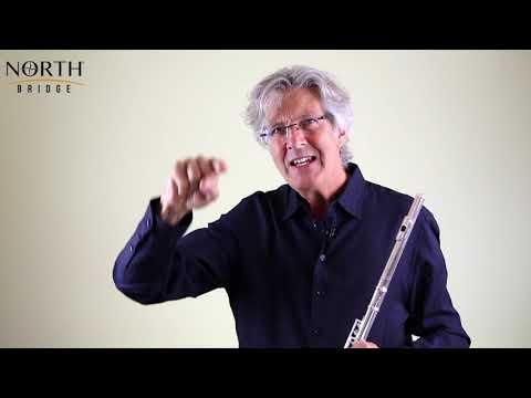 Teaching Notes: Donjon - Pan! (Pastorale for Flute)