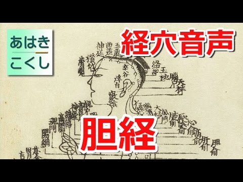 経穴 暗記用音声 足の少陽 胆経 [あはきこくし]