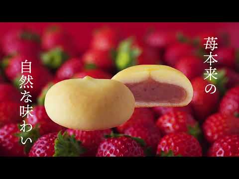 「花ことばStrawberry」好評発売中！