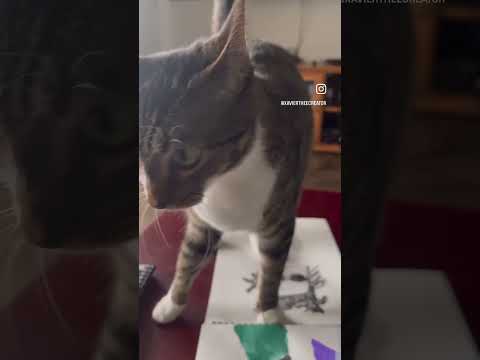 Cats don’t understand boundaries. My friends cat walking all over my #sketches #artist #catvideos