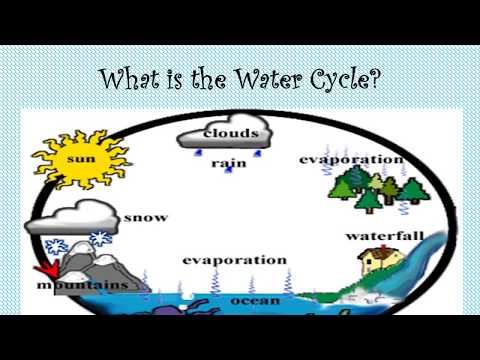 The Water Cycle - Science Grade 2 & 3 - The Stepping Stone Kids