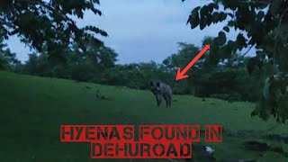 Finally hyenas found in dehu road