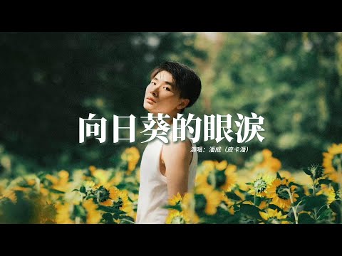 潘成（皮卡潘）- 向日葵的眼淚『等你的時間太長 細枝末節你卻都遺忘，愛像水倒在手掌，攤開緊握都會從指縫流淌。』【動態歌詞MV】