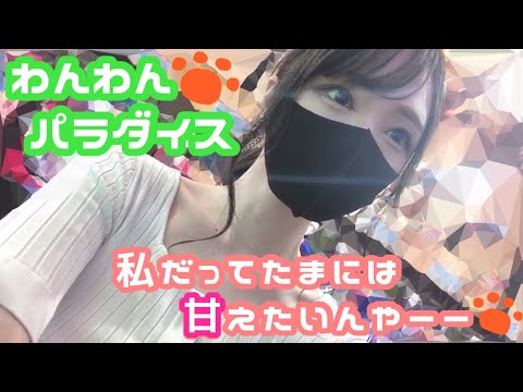 【わんわんパラダイスV-GO】#30👩🏻‍🍳本日の献立:夏野菜のトマトソースパスタ(フェットチーネ)