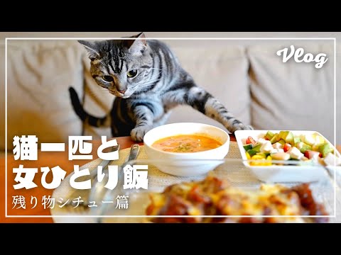 Because my husband is absent, I will eat the stew of leftovers while being watched by my cat [Vlog]